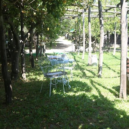 Апартаменты Emy'S Country House Кастелламмаре-ди-Стабия Экстерьер фото