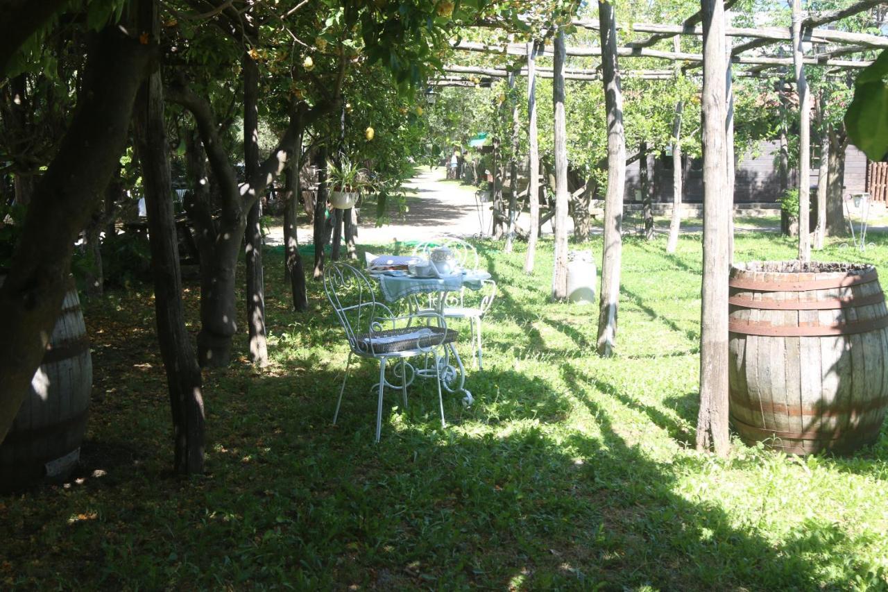 Апартаменты Emy'S Country House Кастелламмаре-ди-Стабия Экстерьер фото
